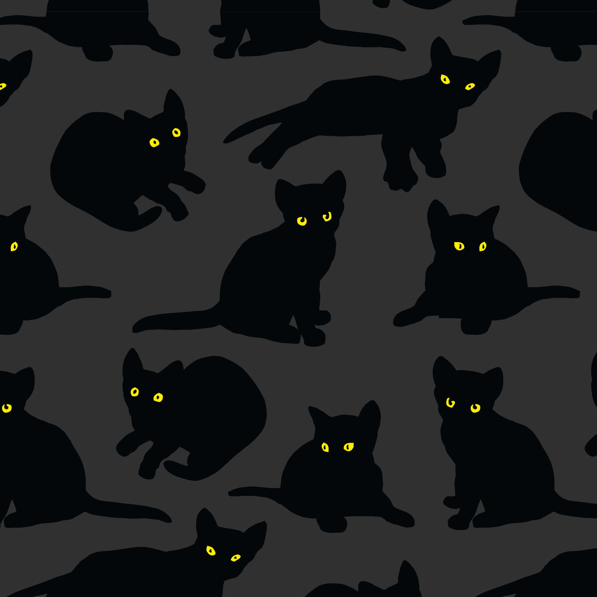 kittens-grey-black-detail